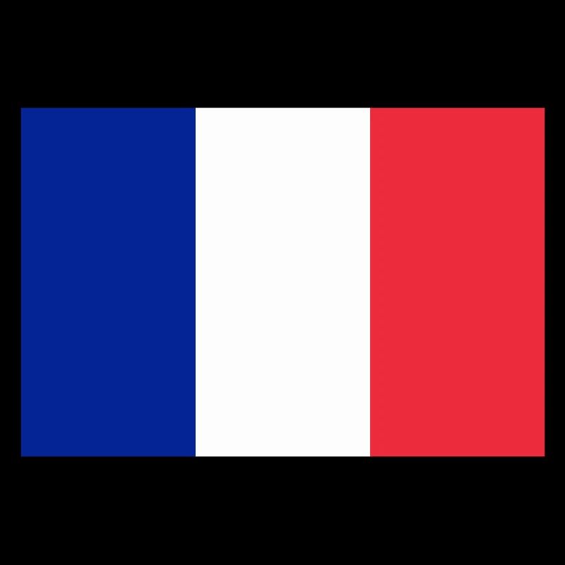 Drapeau français / French flag
