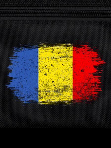 Coup de pinceau Drapeau roumain