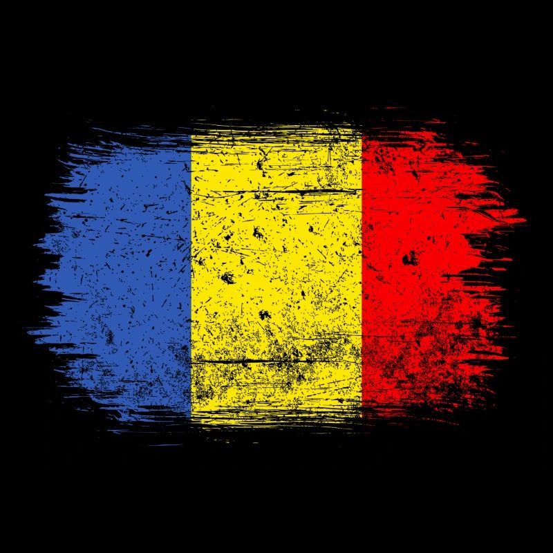 Brushstroke Romanian Flag
