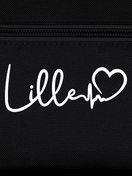 Lille heartbeat ville France