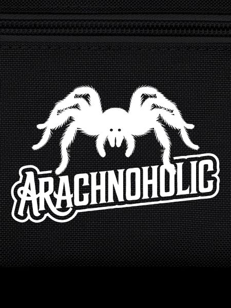 Arachnoholic große haarige Spinne Silhouette