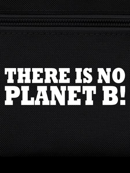 There is no planet B