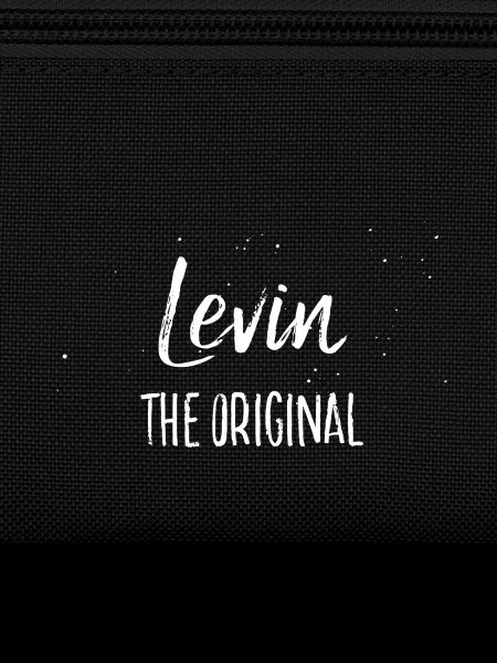 Levin
