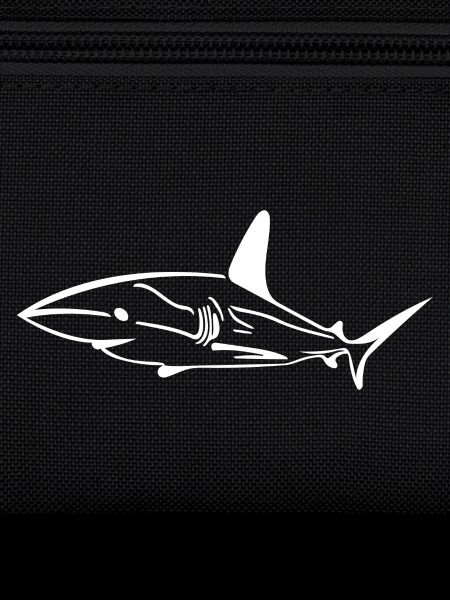 Elegant funny deep-sea shark