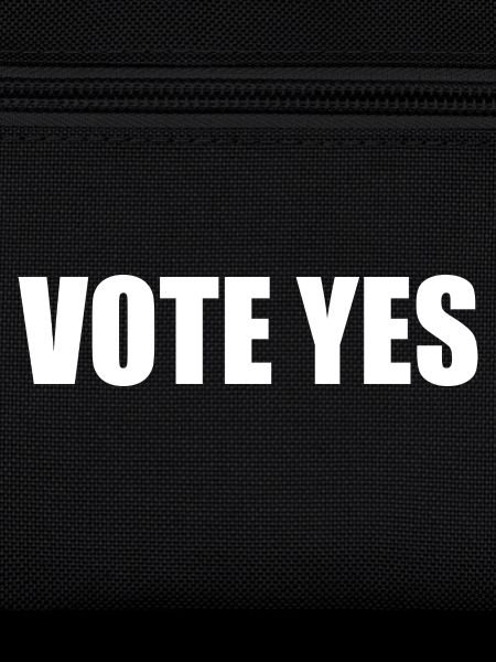 Vote yes