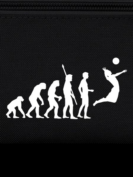 evolution_volleyball_1c