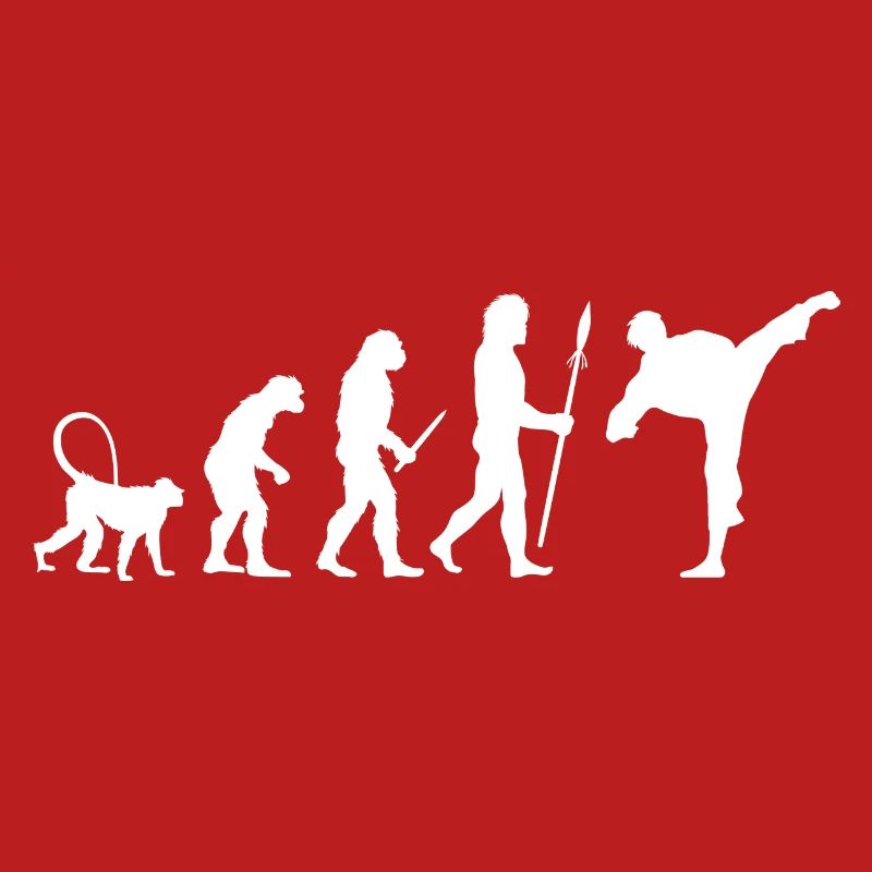 Karate Evolution