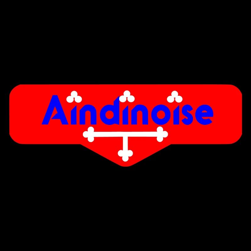 Logo Aindinoise avec Détails du drapeau de l'ain
