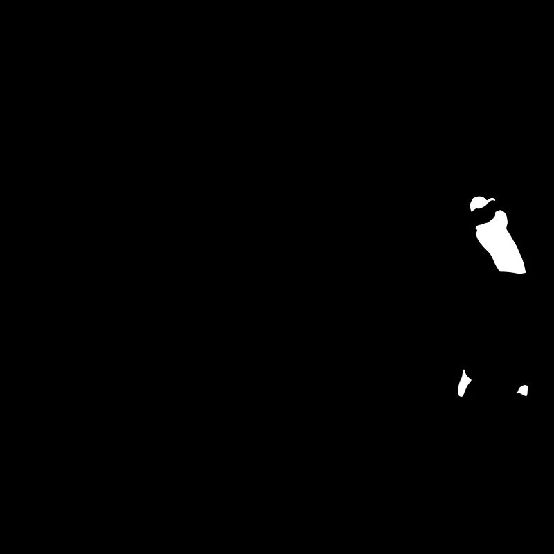 evolution_golf_b_2c