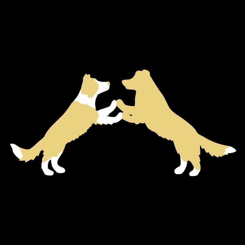dog dancing Border Collies