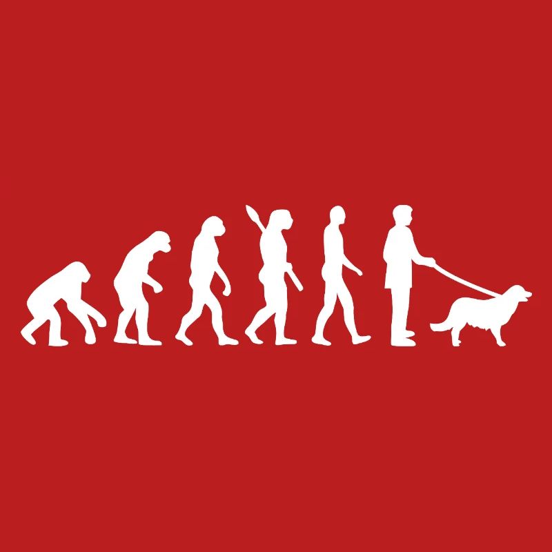 Évolution vers Promeneur de Chiens