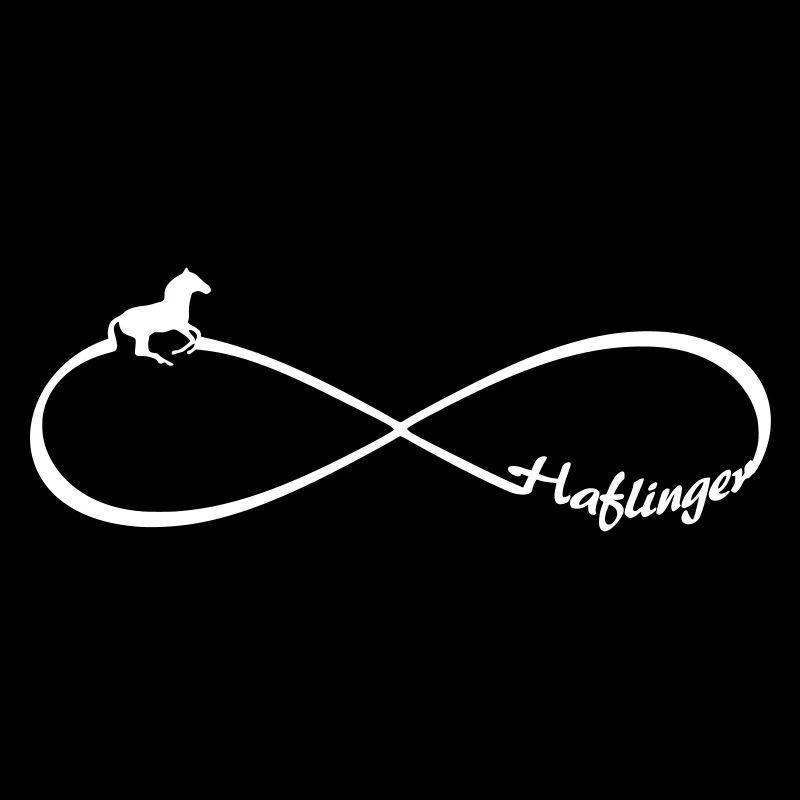 Haflinger Pferde freunde Pferderasse Infinity acht