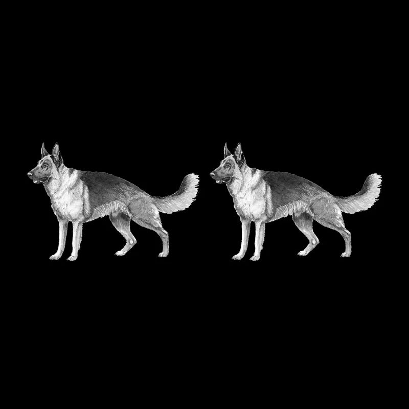 German Shepherd car