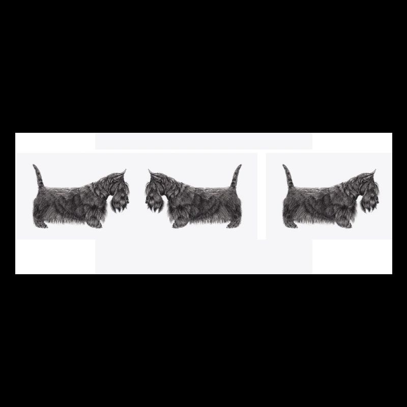 Scottish terrier car