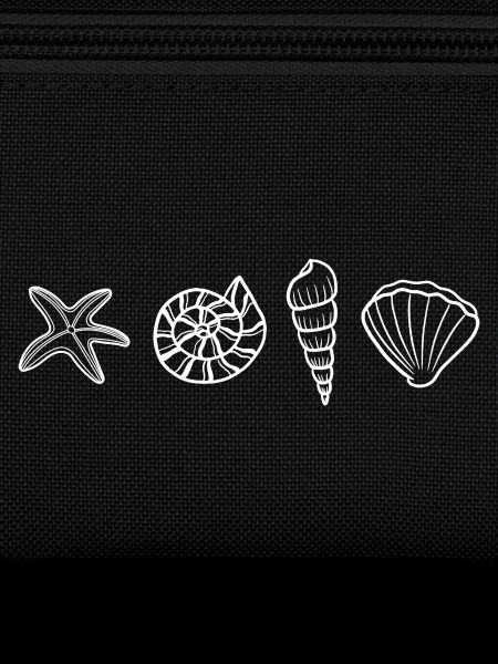 Shells - marine animal