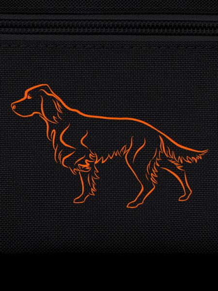 Setter above in orange