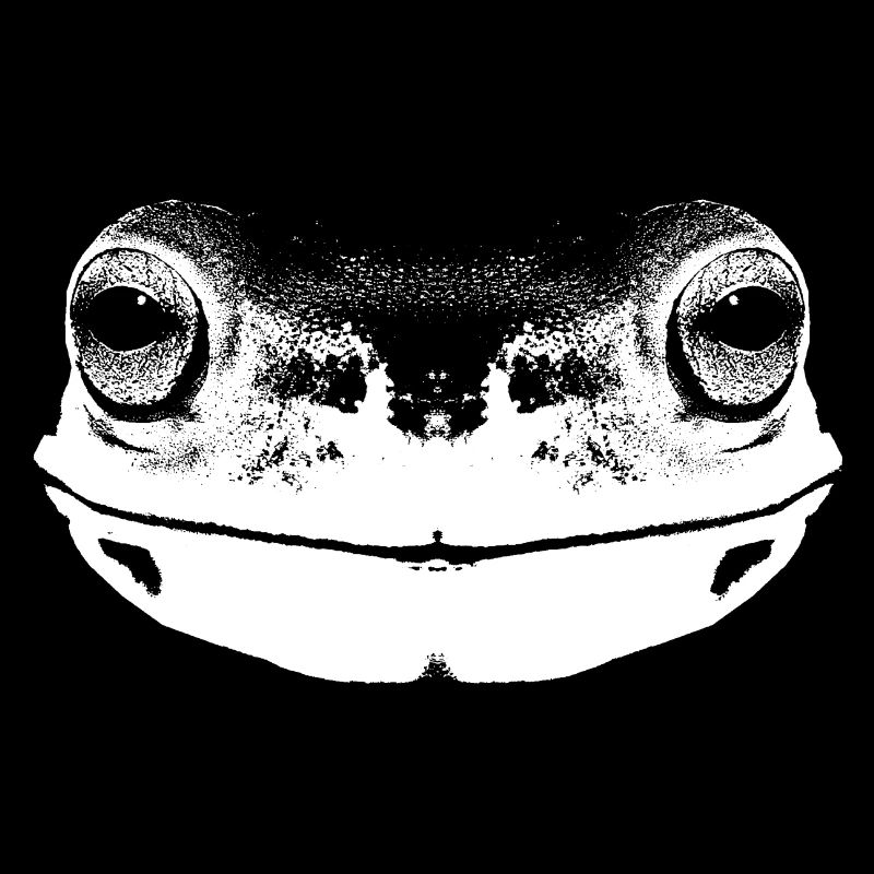 Frog / Face / Head / Portrait / White
