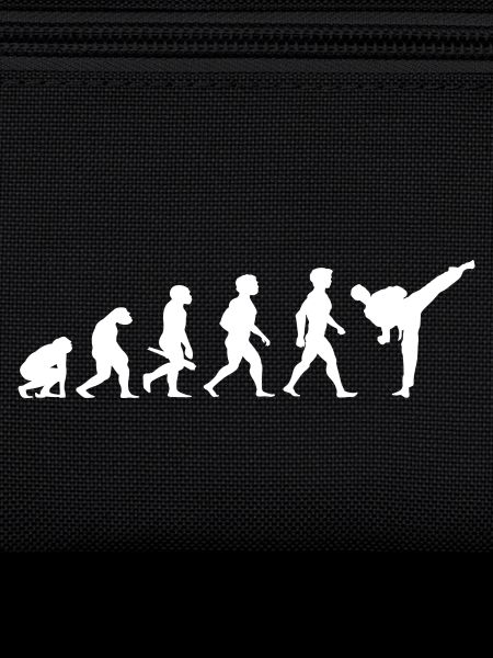 Evolution Karate Martial Arts