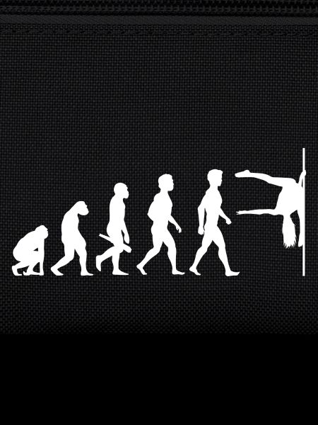 Evolution Poledance Pole Dancing Danse