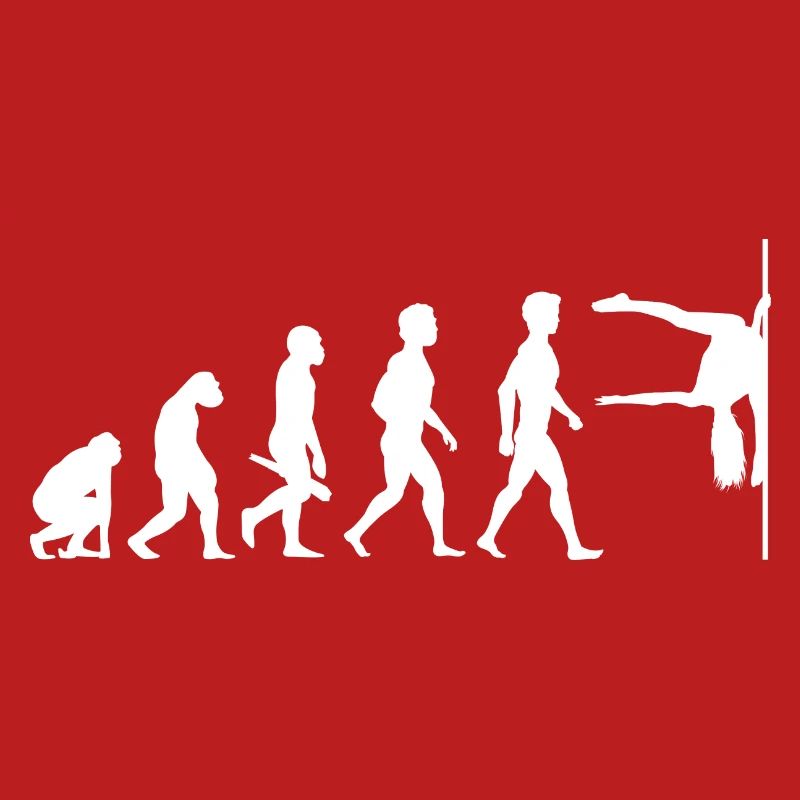 Evolution Poledance Pole Dancing Danse