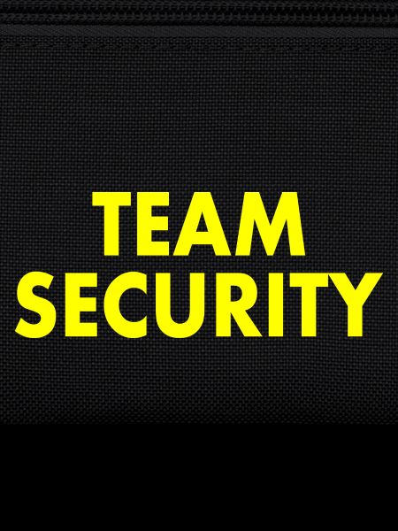 Team security