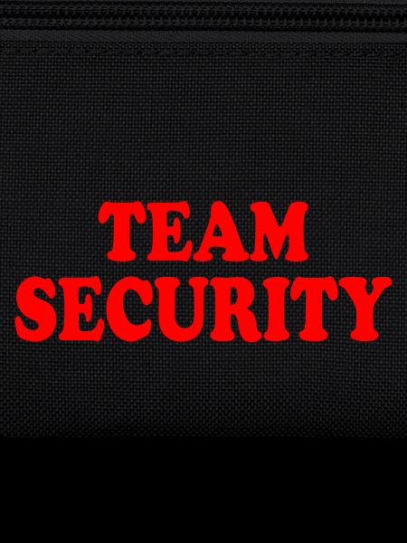 Team security