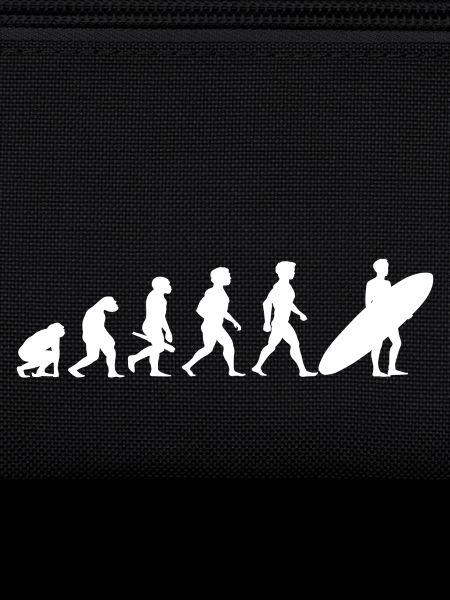 Evolution Surf Surfers surf surf