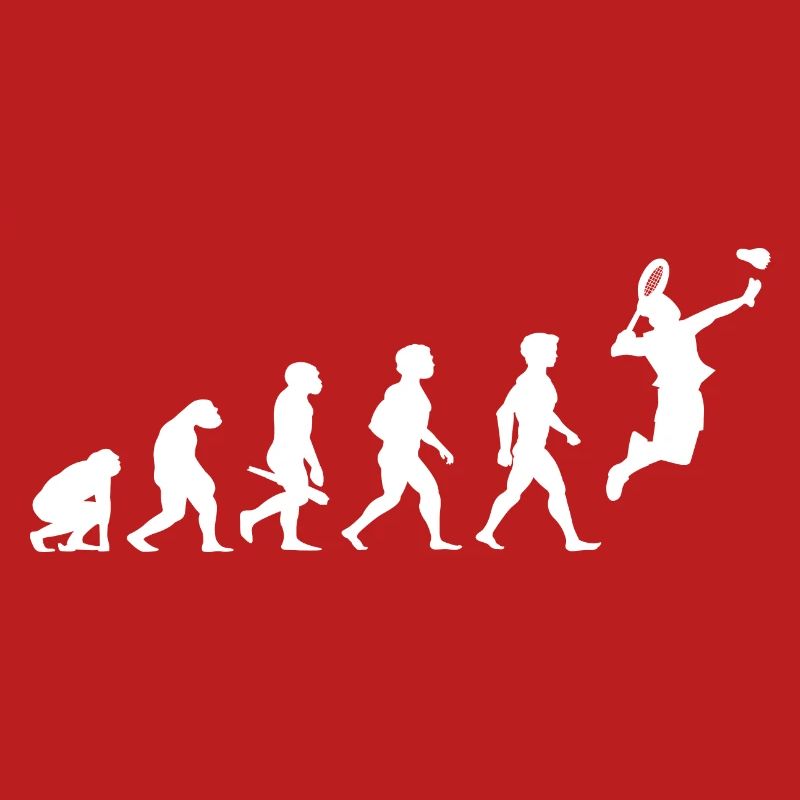 Evolution badminton shuttlecock shuttlecock player