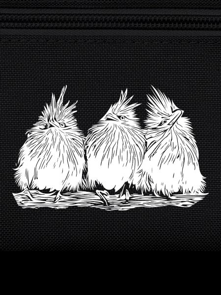 Funny funny birds