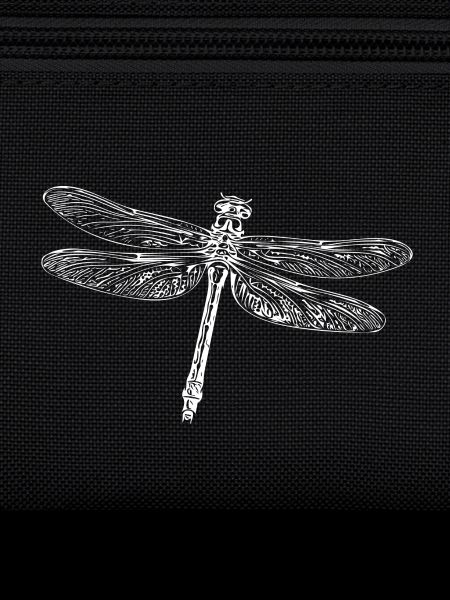 Flying dragonfly