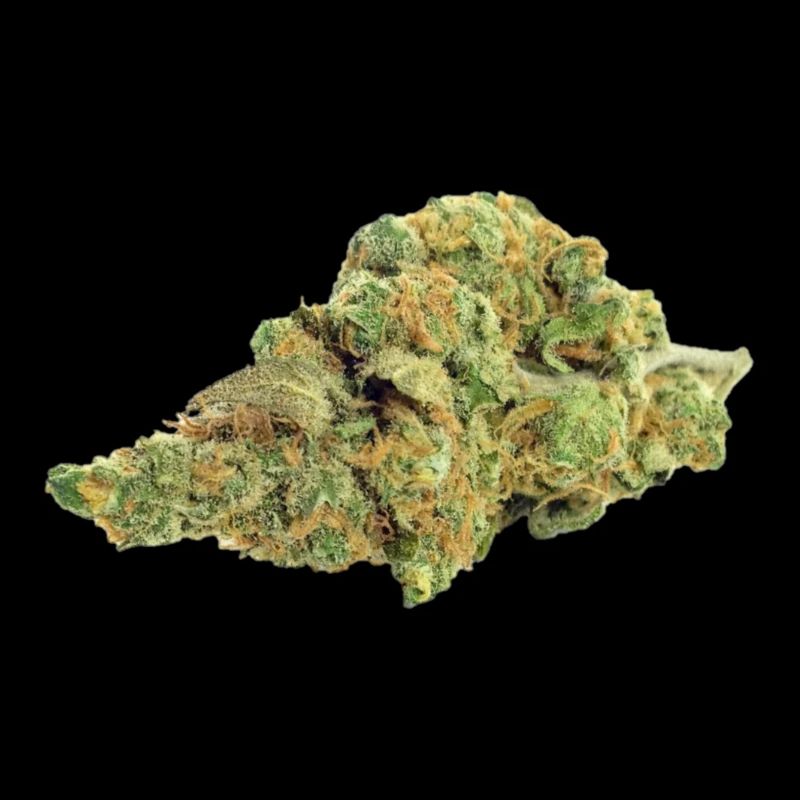 Single Cannabis / Weed Bud / Fleur