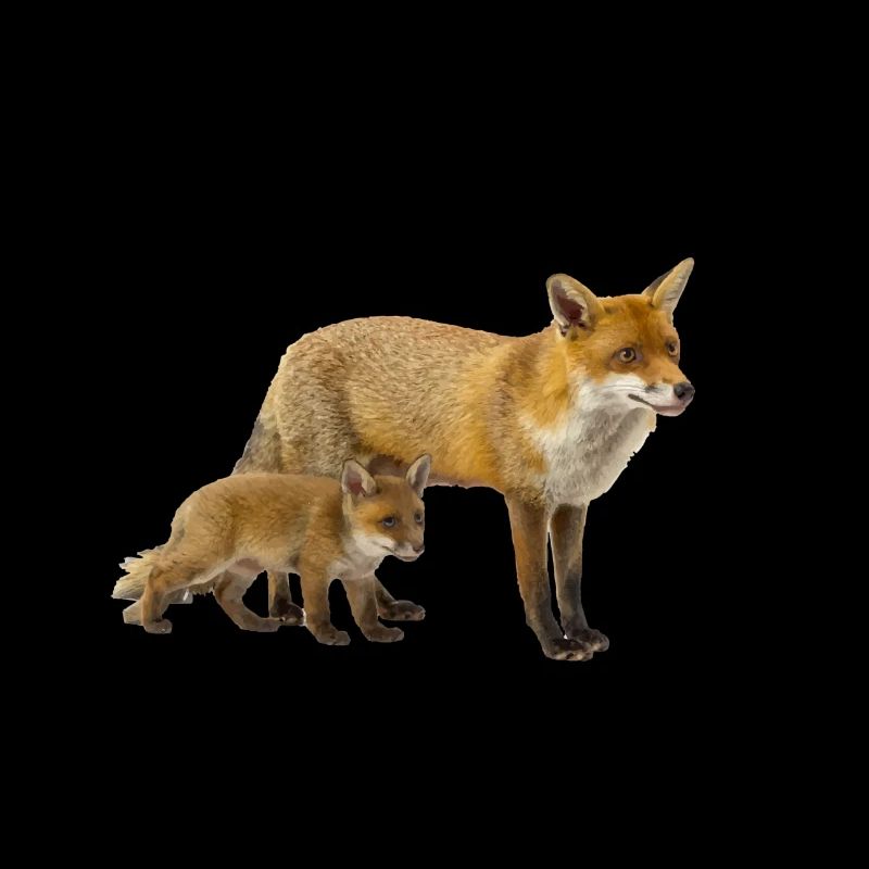 Fuchs