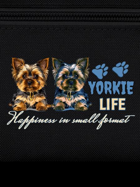 Chiots Yorkie