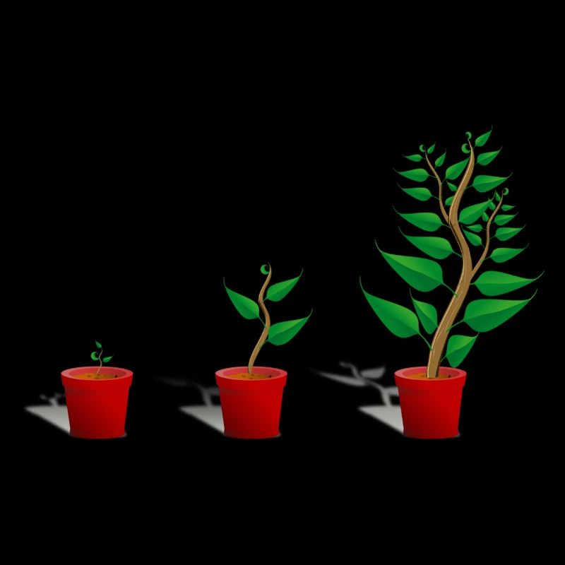Plant growth