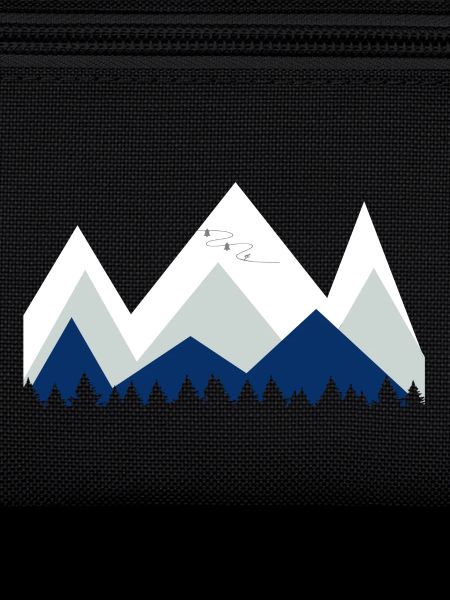Ski
