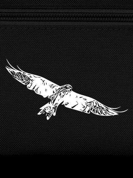 Greifvogel auf breiten Schwingen