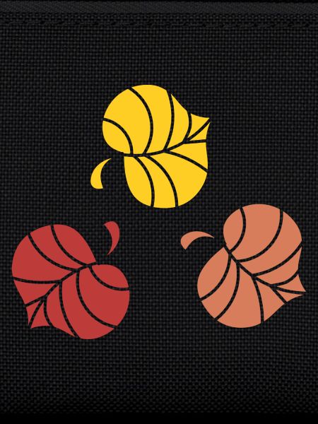 Laub im Herbst