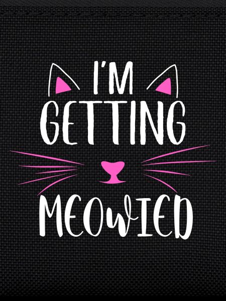 I'm getting meowied