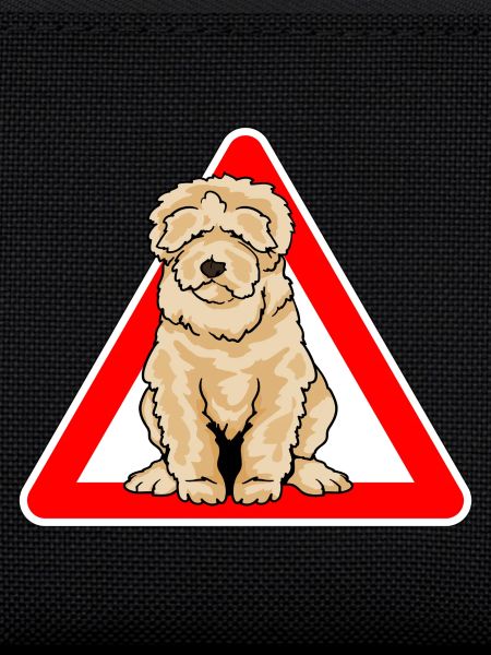 Labradoodle Goldendoodle Doodle Dog