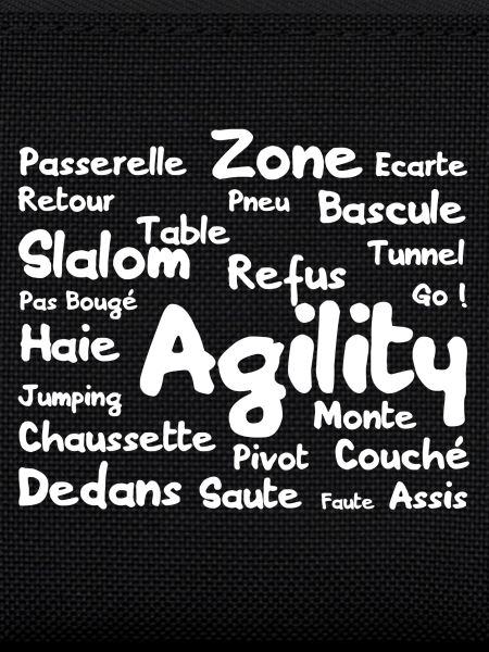 mots agility