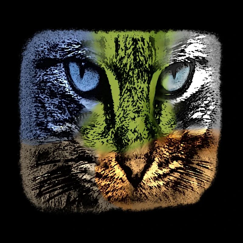 Colorful cat face, individualistic