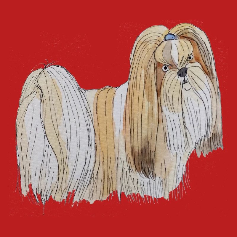 Lhasa Apso Spaß