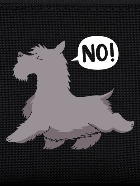 Scottish Terrier
