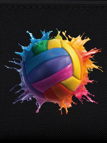 Volley-ball