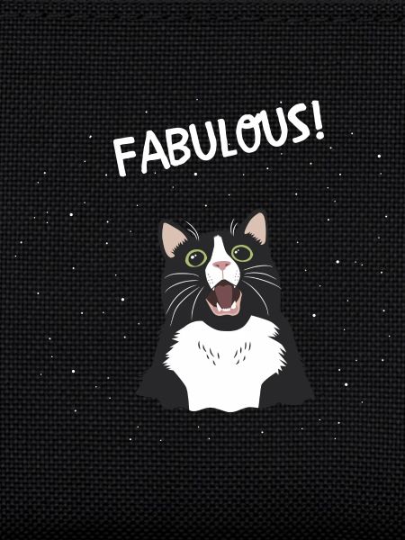 fabuleux chat