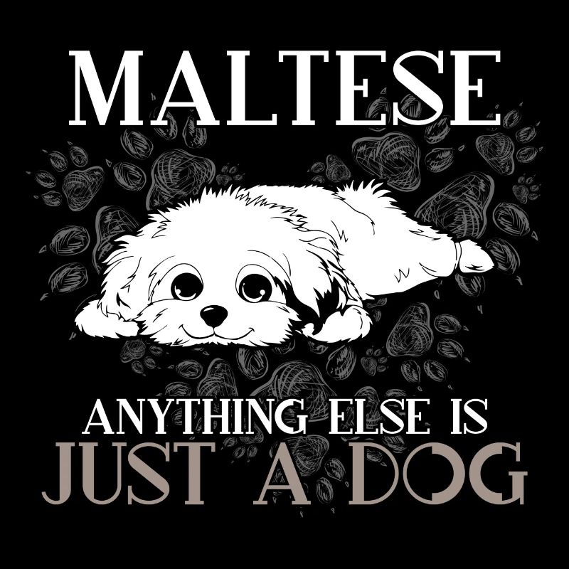 Maltese Anything Else Is Just A Dog