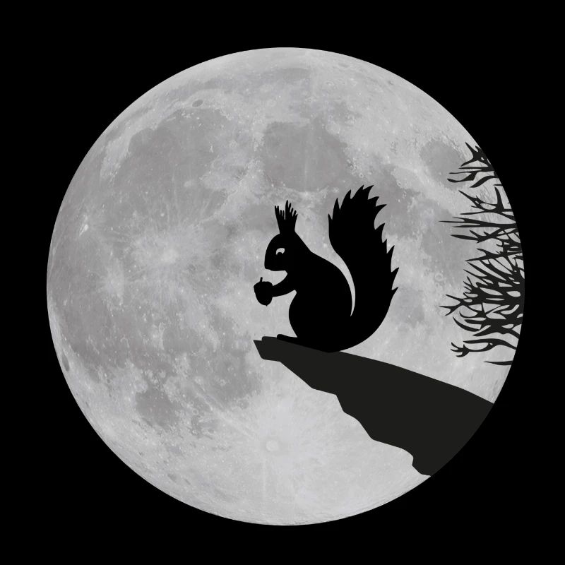 Mond Eichhörnchen Vollmond Nacht Eichel