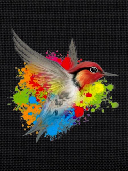 colibri friend logo