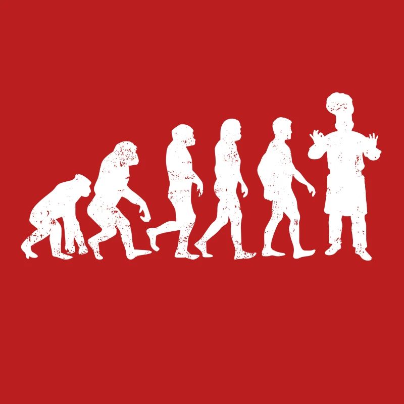 Chef evolution cuisine kitchen gift chef