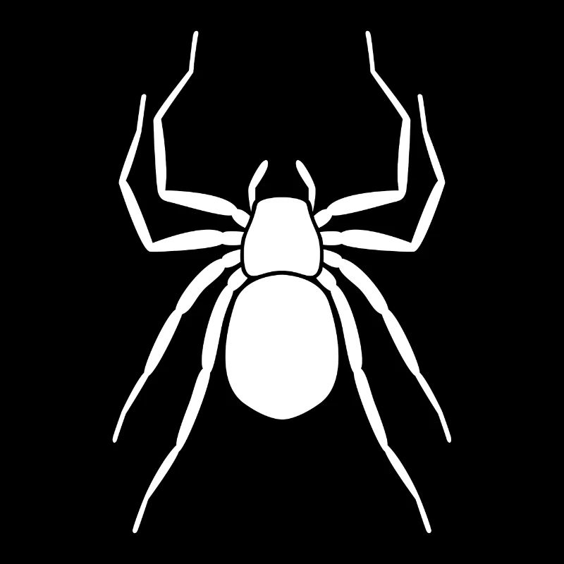 Spinne